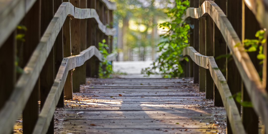 An image of a wooden walking bridge and the title Abita Springs Louisiana northshore area