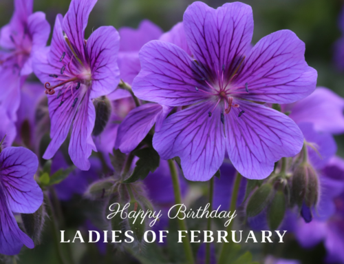 Celebrate Ladies of February