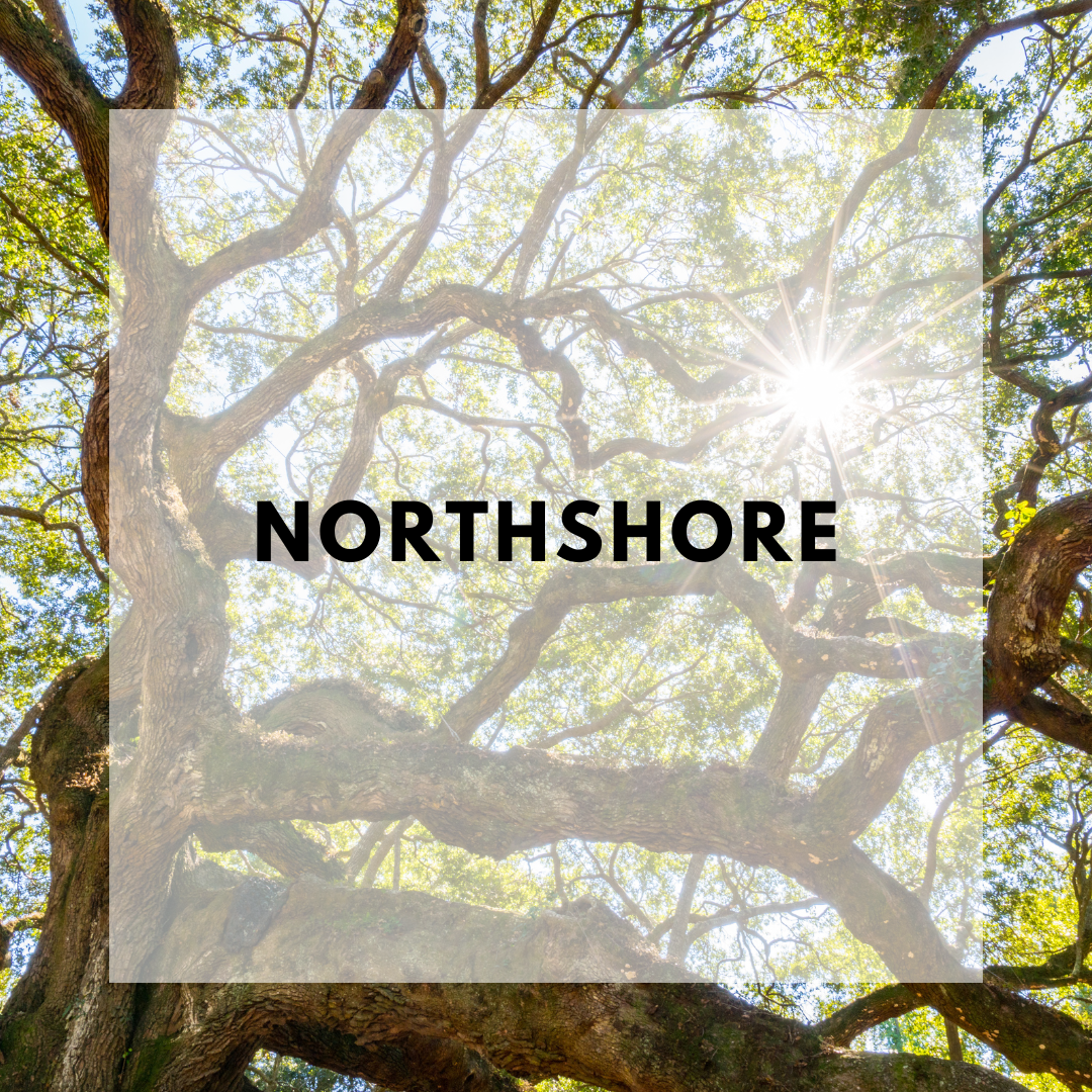 Cover image with the words Northshore