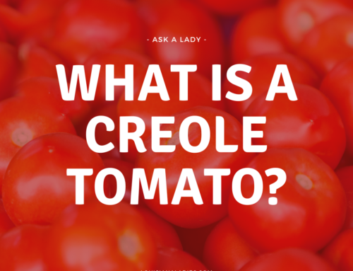 What is a Creole Tomato?