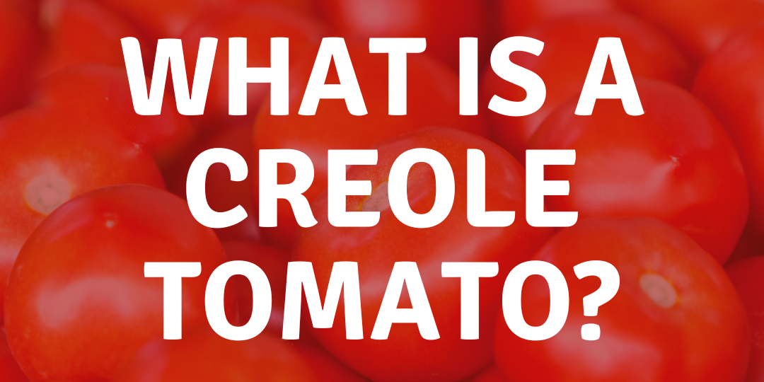 What is a Creole Tomato