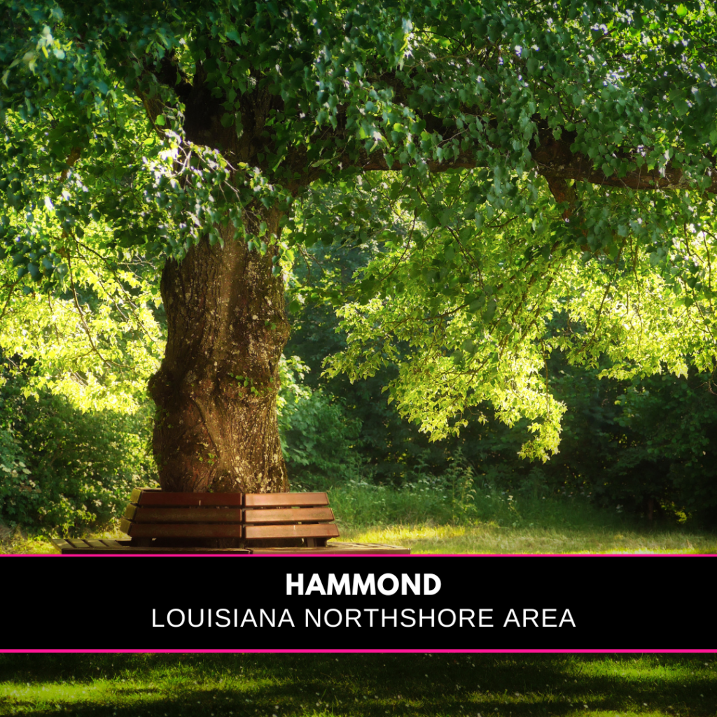 A tree with green leaves and a bench around it and the words Hammond Louisiana northshore area