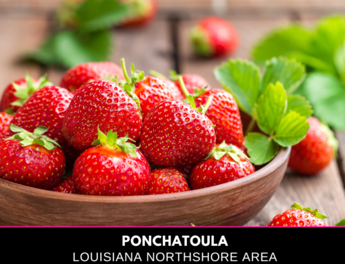 Ponchatoula Louisiana